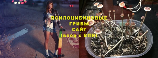 бошки Усмань
